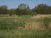 NL, Noord-Brabant, Baarle-Nassau, Baarlebrug 6, Saxifraga-Jan van der Straaten