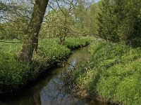 NL, Noord-Brabant, Baarle-Nassau, Baarlebrug 9, Saxifraga-Jan van der Straaten