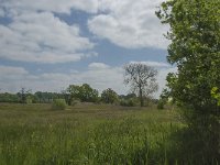 NL, Noord-Brabant, Baarle-Nassau, De Broskens 11, Saxifraga-Marijke Verhagen