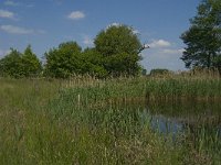 NL, Noord-Brabant, Baarle-Nassau, De Broskens 23, Saxifraga-Jan van der Straaten