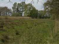 NL, Noord-Brabant, Baarle-Nassau, De Broskens 3, Saxifraga-Jan van der Straaten