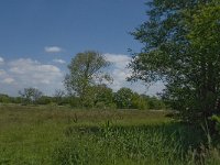 NL, Noord-Brabant, Baarle-Nassau, De Broskens 47, Saxifraga-Jan van der Straaten