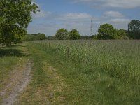 NL, Noord-Brabant, Baarle-Nassau, De Broskens 57, Saxifraga-Jan van der Straaten