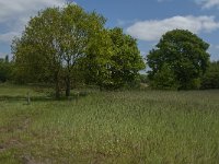 NL, Noord-Brabant, Baarle-Nassau, De Broskens 58, Saxifraga-Jan van der Straaten