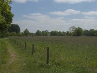 NL, Noord-Brabant, Baarle-Nassau, De Broskens 60, Saxifraga-Jan van der Straaten