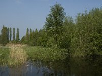 NL, Noord-Brabant, Baarle-Nassau, De Manke Goren 113, Saxifraga-Willem van Kruijsbergen