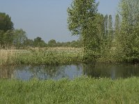 NL, Noord-Brabant, Baarle-Nassau, De Manke Goren 126, Saxifraga-Willem van Kruijsbergen