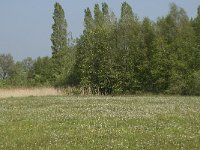 NL, Noord-Brabant, Baarle-Nassau, De Manke Goren 130, Saxifraga-Willem van Kruijsbergen