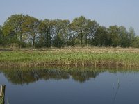 NL, Noord-Brabant, Baarle-Nassau, De Manke Goren 149, Saxifraga-Willem van Kruijsbergen