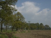 NL, Noord-Brabant, Baarle-Nassau, De Manke Goren 179, Saxifraga-Jan van der Straaten