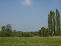 NL, Noord-Brabant, Baarle-Nassau, De Manke Goren 184, Saxifraga-Jan van der Straaten