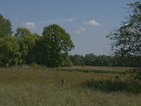 NL, Noord-Brabant, Baarle-Nassau, De Manke Goren 24, Saxifraga-Jan van der Straaten