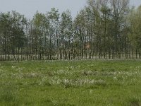 NL, Noord-Brabant, Baarle-Nassau, De Manke Goren 31, Saxifraga-Willem van Kruijsbergen