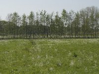 NL, Noord-Brabant, Baarle-Nassau, De Manke Goren 32, Saxifraga-Willem van Kruijsbergen