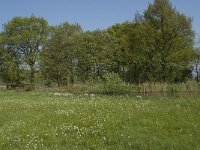 NL, Noord-Brabant, Baarle-Nassau, De Manke Goren 47, Saxifraga-Willem van Kruijsbergen