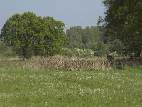 NL, Noord-Brabant, Baarle-Nassau, De Manke Goren 48, Saxifraga-Willem van Kruijsbergen