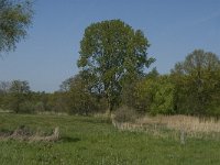 NL, Noord-Brabant, Baarle-Nassau, De Manke Goren 9, Saxifraga-Jan van der Straaten