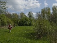 NL, Noord-Brabant, Baarle-Nassau, Halsche Beemden 133, Saxifraga-Marijke Verhagen