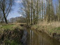 NL, Noord-Brabant, Baarle-Nassau, Halsche Beemden 136, Saxifraga-Willem van Kruijsbergen