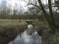 NL, Noord-Brabant, Baarle-Nassau, Halsche Beemden 138, Saxifraga-Willem van Kruijsbergen