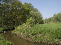 NL, Noord-Brabant, Baarle-Nassau, Halsche Beemden 139, Saxifraga-Willem van Kruijsbergen