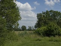 NL, Noord-Brabant, Baarle-Nassau, Halsche Beemden 171, Saxifraga-Jan van der Straaten