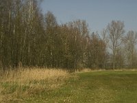 NL, Noord-Brabant, Baarle-Nassau, Halsche Beemden 191, Saxifraga-Marijke Verhagen