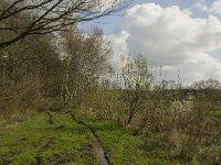 NL, Noord-Brabant, Baarle-Nassau, Halsche Beemden 214, Saxifraga-Marijke Verhagen