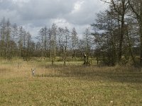 NL, Noord-Brabant, Baarle-Nassau, Halsche Beemden 71, Saxifraga-Willem van Kruijsbergen