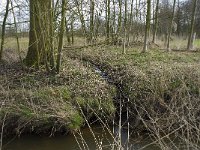 NL, Noord-Brabant, Baarle-Nassau, Halsche Beemden 95, Saxifraga-Willem van Kruijsbergen