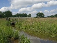 NL, Noord-Brabant, Baarle-Nassau, Hoekbeemden 10, Saxifraga-Jan van der Straaten