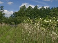 NL, Noord-Brabant, Baarle-Nassau, Hoekbeemden 16, Saxifraga-Jan van der Straaten