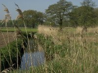 NL, Noord-Brabant, Baarle-Nassau, Kromme Hoek 13, Saxifraga-Jan van der Straaten