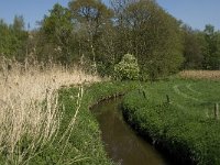 NL, Noord-Brabant, Baarle-Nassau, Kromme Hoek 38, Saxifraga-Willem van Kruijsbergen,