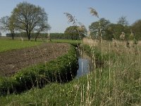 NL, Noord-Brabant, Baarle-Nassau, Kromme Hoek 42, Saxifraga-Willem van Kruijsbergen,