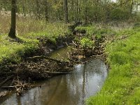 NL, Noord-Brabant, Baarle-Nassau, Kromme Hoek 48, Saxifraga-Willem van Kruijsbergen,