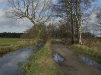 NL, Noord-Brabant, Bergeijk, Beekloop 11, Saxifraga-Marijke Verhagen