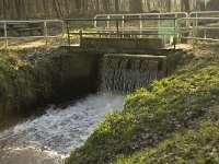 NL, Noord-Brabant, Bergeijk, De Beeken, Het Schut 1, Saxifraga-Jan van der Straaten