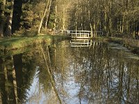 NL, Noord-Brabant, Bergeijk, De Beeken, Het Schut 3, Saxifraga-Jan van der Straaten