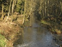 NL, Noord-Brabant, Bergeijk, De Beeken, Het Schut 4, Saxifraga-Jan van der Straaten