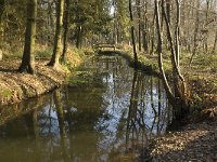 NL, Noord-Brabant, Bergeijk, De Beeken, vloeiweide 3, Saxifraga-Jan van der Straaten