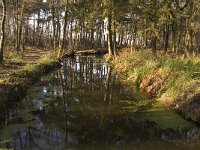 NL, Noord-Brabant, Bergeijk, De Beeken, vloeiweide 4, Saxifraga-Jan van der Straaten