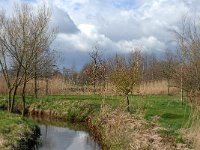 NL, Noord-Brabant, Bergeijk, Enderbeemden 5, Saxifraga-Marijke Verhagen