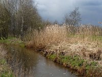 NL, Noord-Brabant, Bergeijk, Enderbeemden 9, Saxifraga-Marijke Verhagen