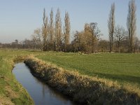 NL, Noord-Brabant, Bergeijk, Heijerdijk, Keersopbeemden 11, Saxifraga-Jan van der Straaten