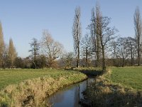 NL, Noord-Brabant, Bergeijk, Heijerdijk, Keersopbeemden 3, Saxifraga-Jan van der Straaten