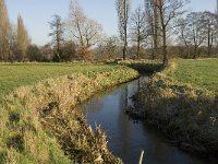 NL, Noord-Brabant, Bergeijk, Heijerdijk, Keersopbeemden 4, Saxifraga-Jan van der Straaten