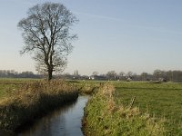 NL, Noord-Brabant, Bergeijk, Heijerdijk, Keersopbeemden 5, Saxifraga-Jan van der Straaten