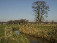 NL, Noord-Brabant, Bergeijk, Heijerdijk, Keersopbeemden 9, Saxifraga-Jan van der Straaten