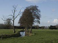 NL, Noord-Brabant, Bergeijk, Hoeker Beemden 6, Saxifraga-Jan van der Straaten